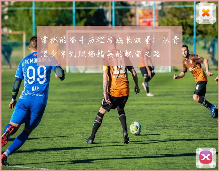 常林的奋斗历程与成长故事：从青涩少年到职场精英的蜕变之路
