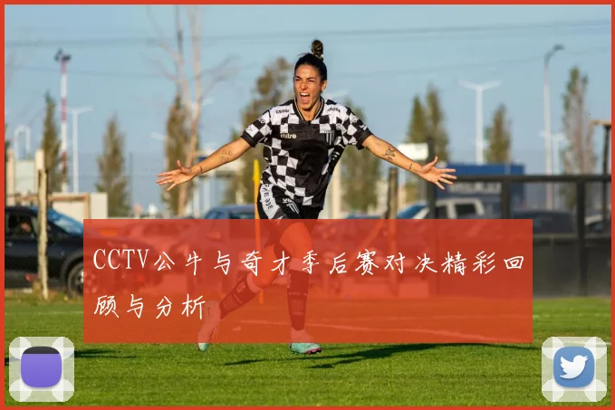 CCTV公牛与奇才季后赛对决精彩回顾与分析